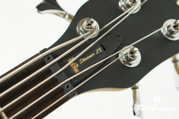 RockBass STREAMER LX 5